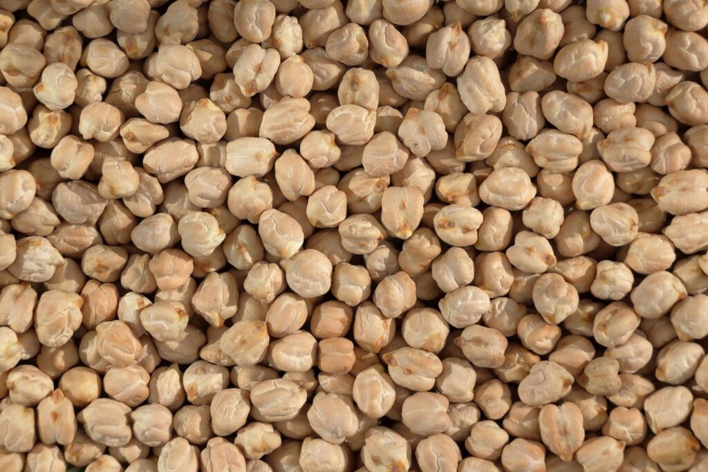 Närbild av många torkade kikärter i ljusa beige nyanser